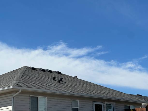 Hinsdale, IL  Roofing repair and installation Company